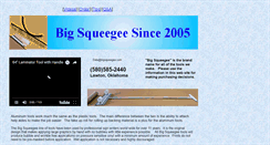 Desktop Screenshot of bigsqueegee.com